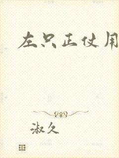 左只正仗用