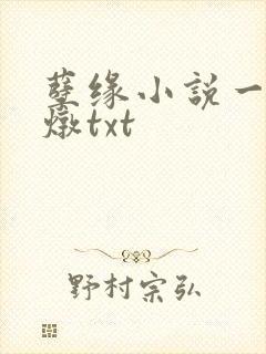 孽缘小说一家乱炖txt