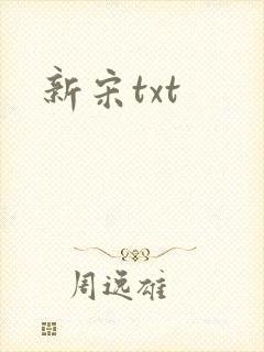 新宋txt