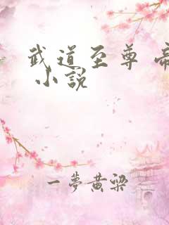 武道至尊 帝临 小说