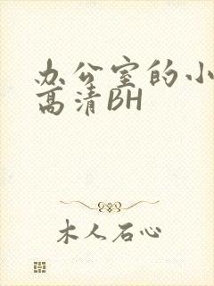 办公室的小秘书高清BH