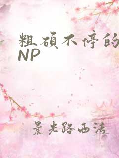 粗硕不停的进出NP