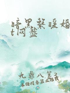 暗黑系暖婚txt网盘