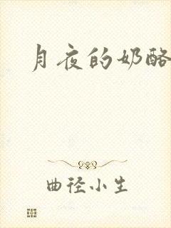 月夜的奶酪h