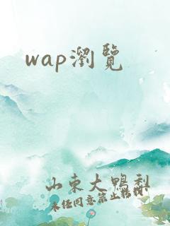 wap浏览