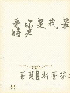 爱你是我最好的时光