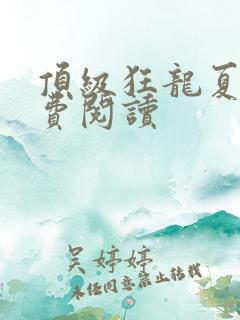 顶级狂龙夏天免费阅读