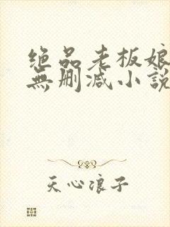 绝品老板娘完整无删减小说