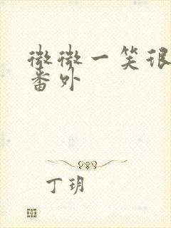 微微一笑很倾城番外