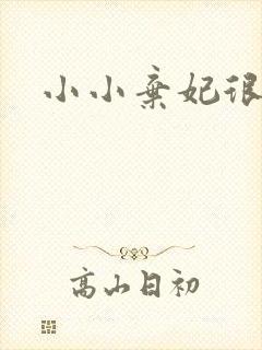 小小弃妃很倾城