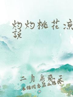 灼灼桃花凉 小说
