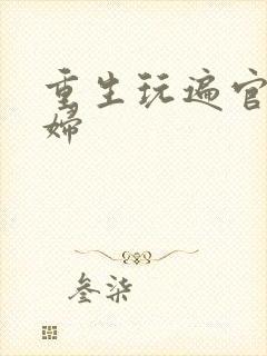 重生玩遍官场贵妇