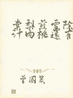 棠梨煎雪除了蜜汁肉桃还有什么肉