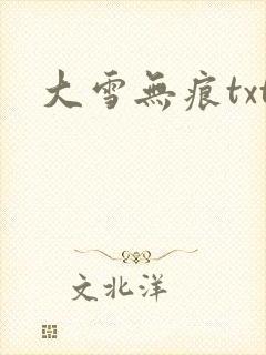 大雪无痕txt