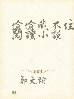 偷偷藏不住免费阅读小说