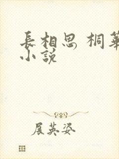 长相思 桐华 小说