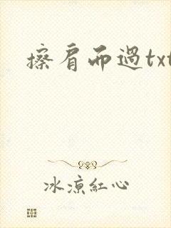 擦肩而过txt