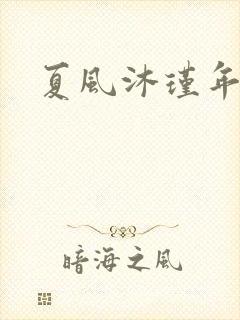 夏风沐瑾年