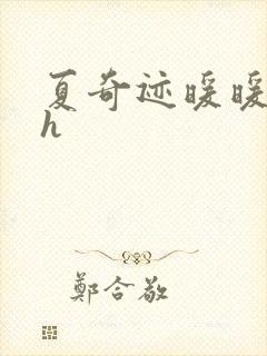 夏奇迹暖暖快穿h