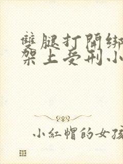 双腿打开绑在刑架上受刑小说