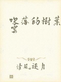 吹落的树叶百度云