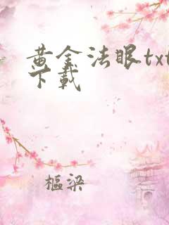 黄金法眼txt下载