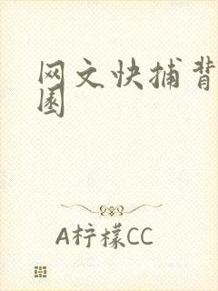 网文快捕背影家园