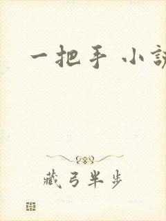 一把手 小说