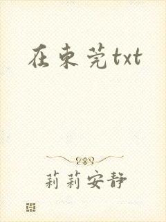 在东莞txt