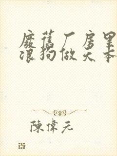 废旧厂房里和流浪狗做天本