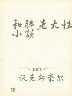 和胖老太性经历小说