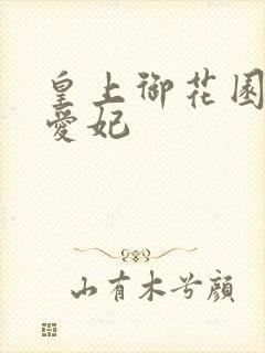 皇上御花园中要爱妃