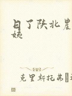 日了陕北农村婆姨