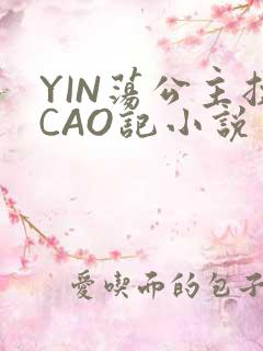 YIN荡公主挨CAO记小说