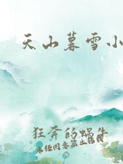 天山暮雪小说
