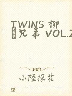 TWINS 柳澤兄弟 VOL.2