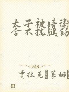 太子被暗卫c到合不拢腿的后果