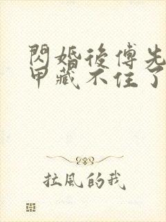 闪婚后傅先生马甲藏不住了免费阅读