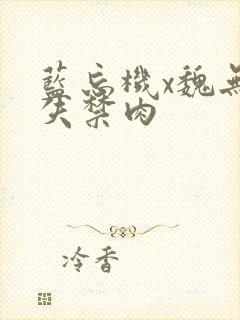 蓝忘机x魏无羡失禁肉