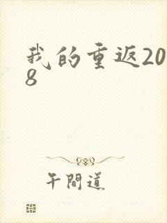 我的重返2008