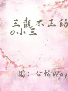 三观不正的文po小三