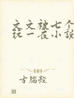 文文被七个男人玩一夜小说
