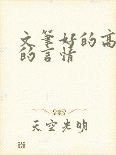 文笔好的高质量的言情