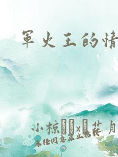 军火王的情人
