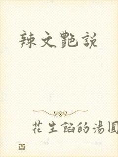 辣文艳说