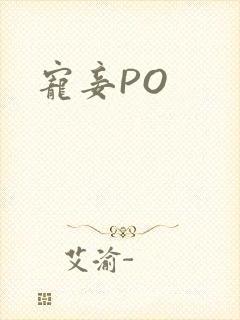 宠妾PO