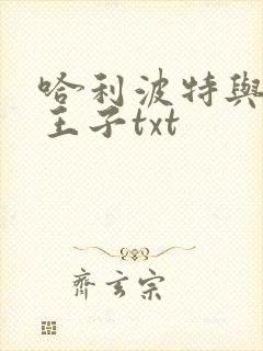 哈利波特与混血王子txt