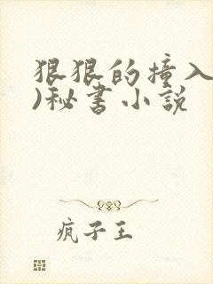 狠狠的撞入(h)秘书小说