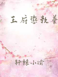 王府惩教养日常