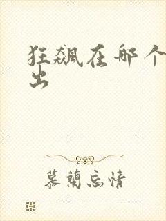 狂飙在哪个台播出